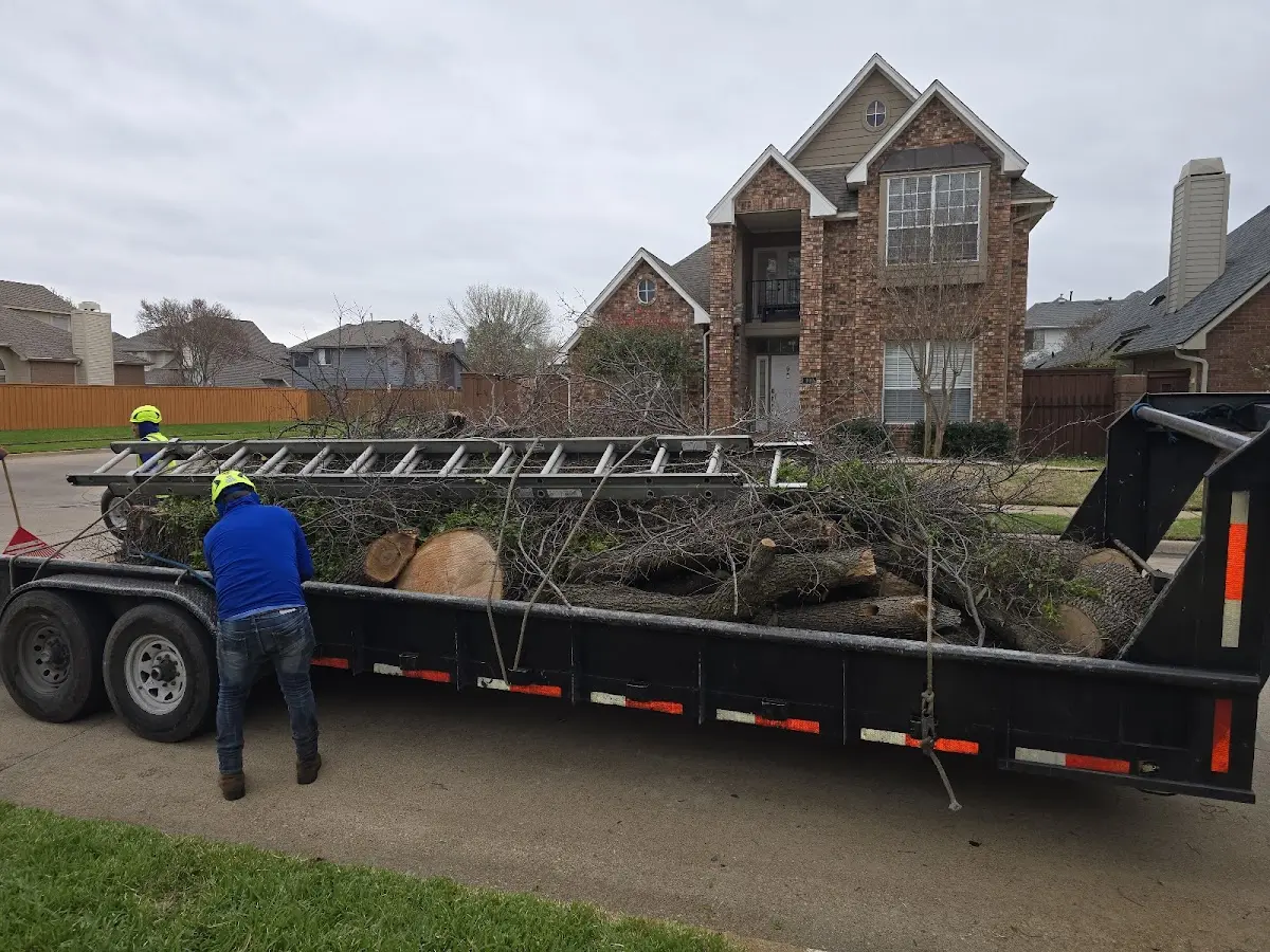 Expert Tree Fertilization with proper safety equipment in Enon Valley